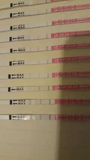 20231116_093130.webp