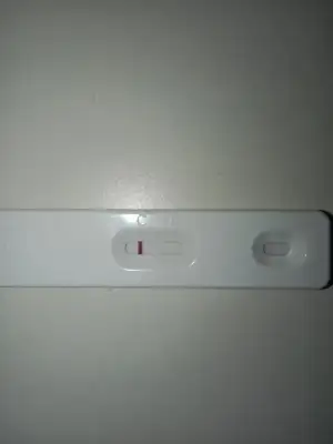 17002122283582328083303510074453.webp
