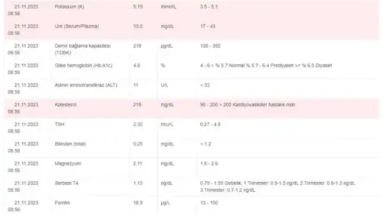 Ekran Alıntısı 3.webp