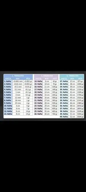 Screenshot_20231121-192228_Gallery.webp