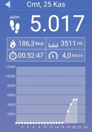 Screenshot_20231125_204901_Pedometer.webp