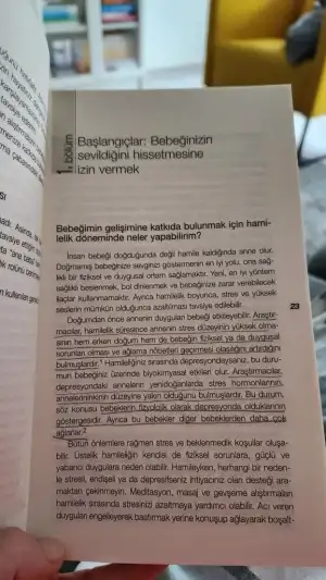 17012583440767339387271931540438.webp