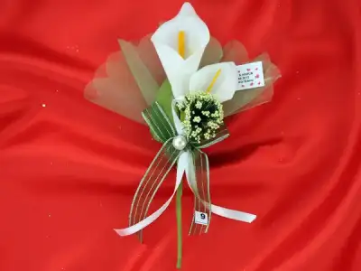 $-213490094.webp