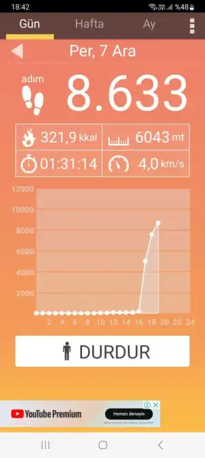 Screenshot_20231207_184208_Pedometer.webp
