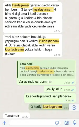 AE0E75C0-BCF6-46C0-BB14-089A85BD2905.webp