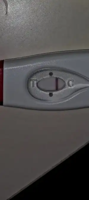Screenshot_20231210_000553_Gallery.webp