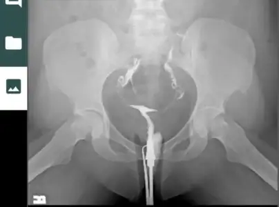 Screenshot_20231210_174051_Gallery.webp