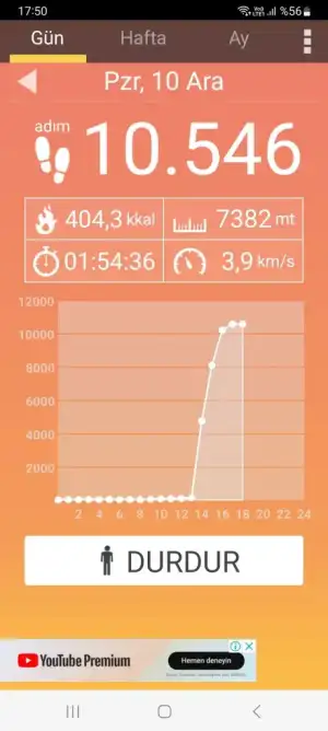 Screenshot_20231210_175001_Pedometer.webp