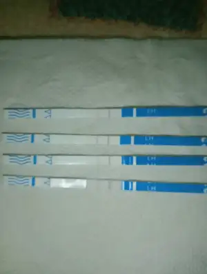 IMG20231211224122.webp