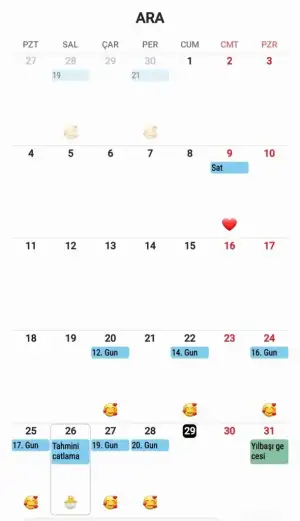 Screenshot_20231229_005811_Calendar.webp