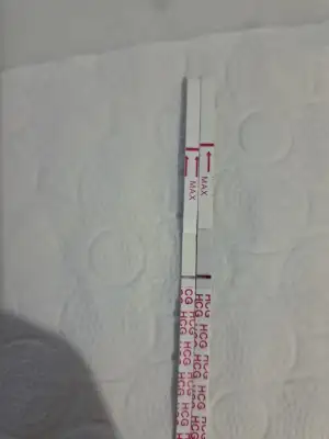 20240101_082316.webp