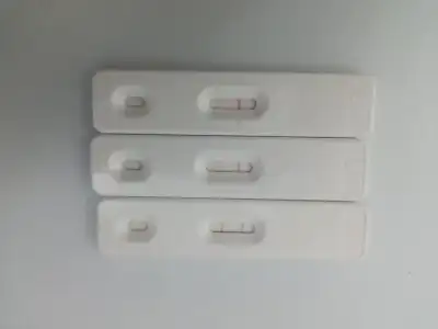 1704300105668283362683921759820.webp