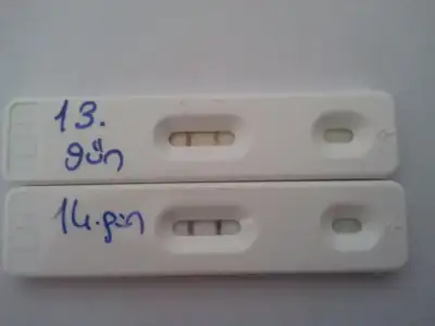 $2012-09-14 13.19.08.webp