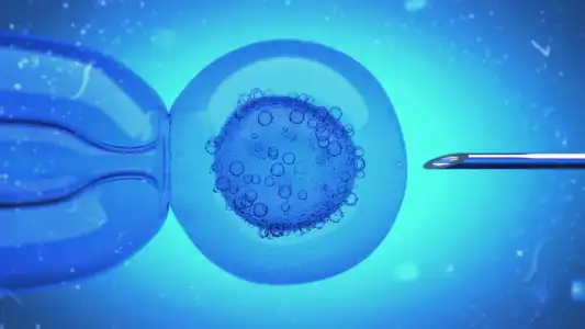 Tüp Bebek ile Mikroenjeksiyon Arasındaki Fark.webp