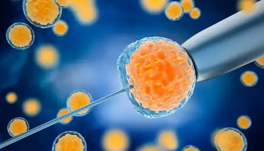 embriyolar-rahim-icine-nasil-yerlestirilir.webp