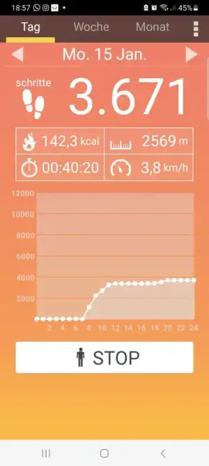 Screenshot_20240116_185731_Pedometer.webp