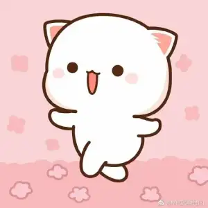 images (20).webp