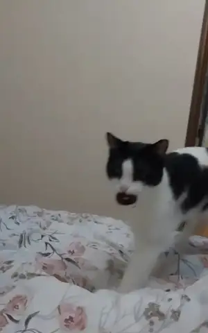 VideoCapture_20240121-000726.webp