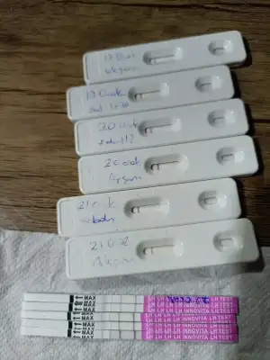 1706028813001237526968880836520.webp