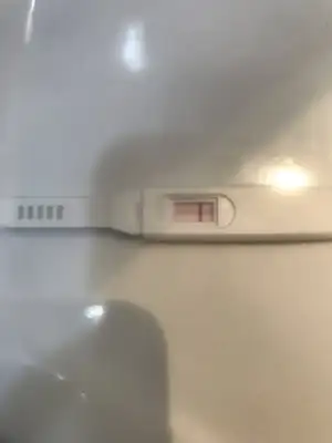 9C868683-0D04-4120-A69A-C11971904594.webp