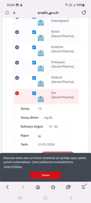 Screenshot_20240126_211416_Samsung Internet.webp