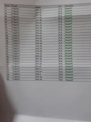 17067934658814952641995961023694.webp