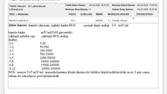 IMG-20240206-WA0008.webp