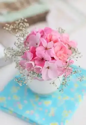 1000025448.webp