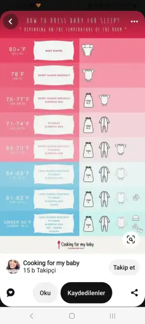 Screenshot_20231121_110136_Pinterest.webp