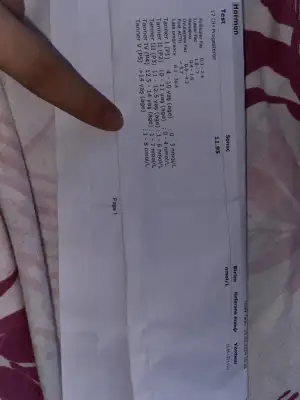 image.webp