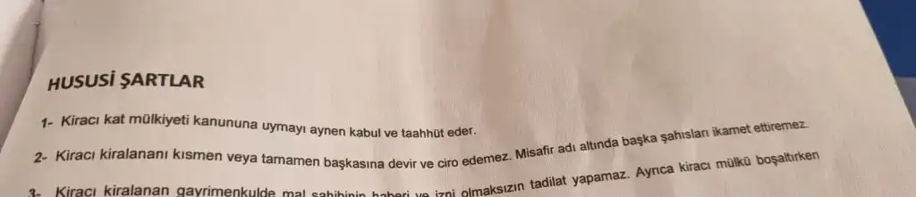 WhatsApp Image 2024-02-20 at 12.19.15.webp