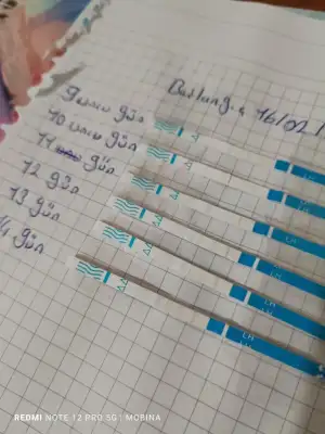 17085356737344055173640560199305.webp