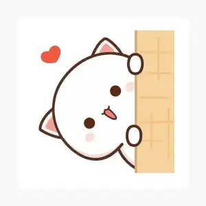 images (13).webp