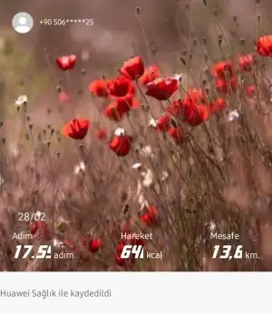 1000043240.webp