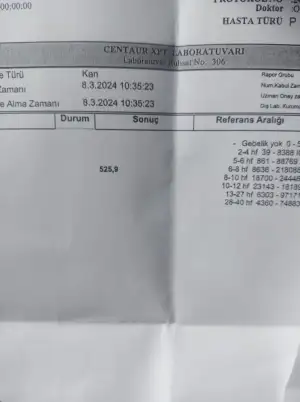 17099000862195020252523136266008.webp