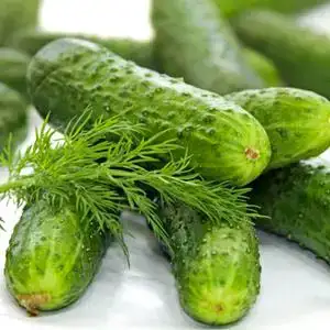 $cucumber3.webp
