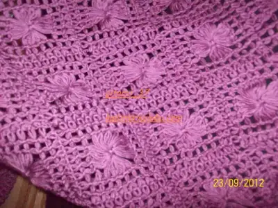 $100_3769.webp