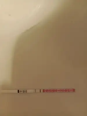 17113855261493414659612591868437.webp