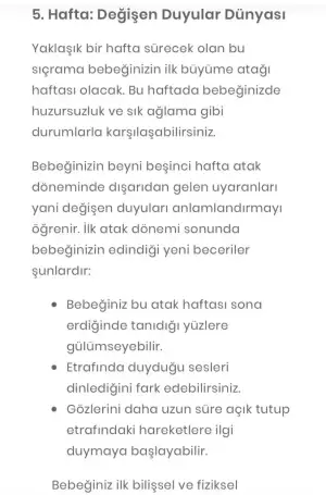 c65e4686-4c8c-4a20-a08c-86ecdc17aaf7.webp