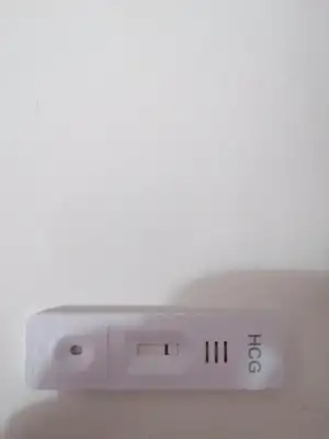 17119033649548557995231063848293.webp