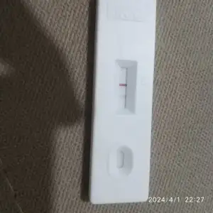 17119996084287121096251966414649.webp