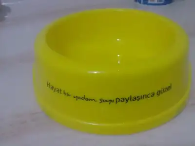 $240920122762.webp