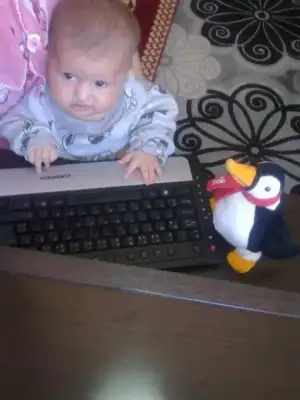 $G&#246;r&#252;nt&#252;3242.webp