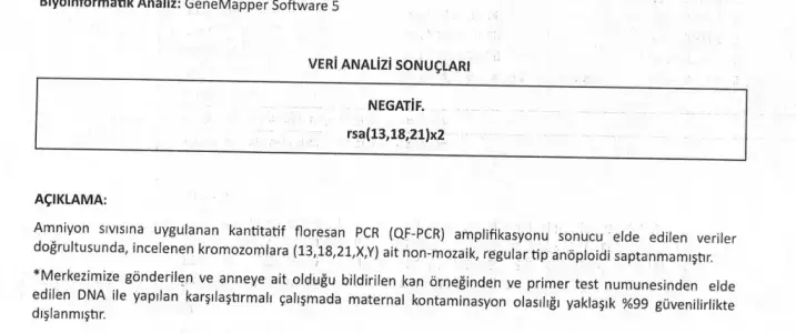 ec290202-334b-47a7-9e70-78f0705c471d.webp