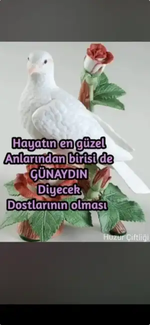 c38f9b2e-6587-4d63-aff9-2b28ab264ddf.webp