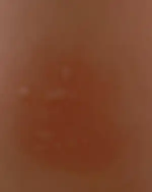 IMG-20240427-WA0003.webp