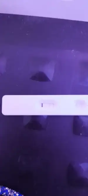 17145861742286994810455436653066.webp