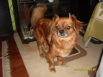 $n1073583173_300446_3125.webp