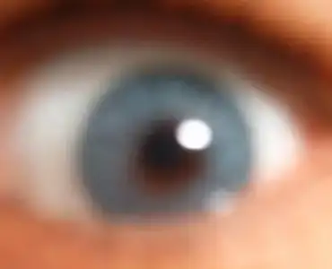 $Bausch lomb blue.webp