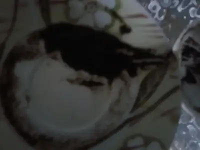 $2012-09-26 21.03.56.webp